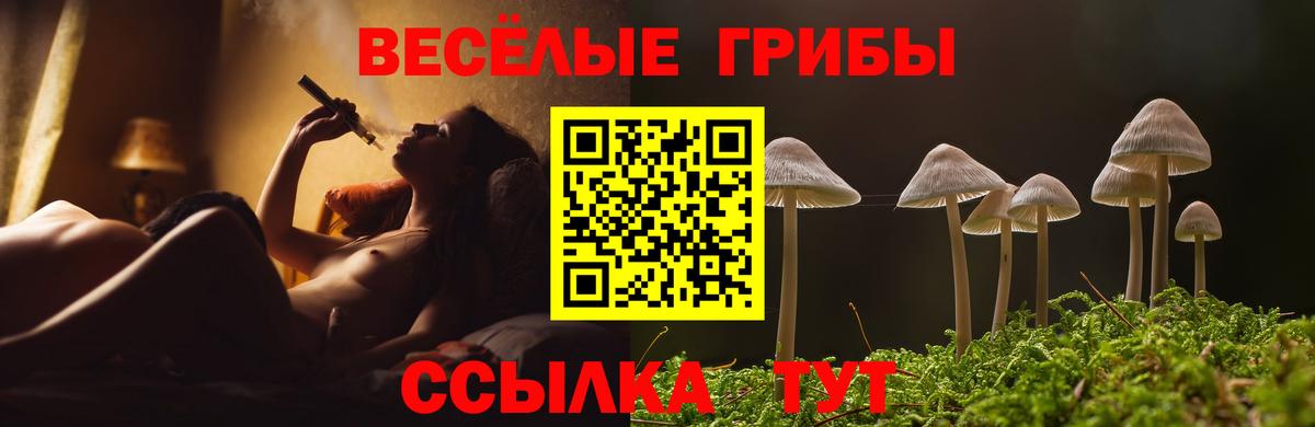 Псилоцибиновые грибы мухоморы Сердобск
